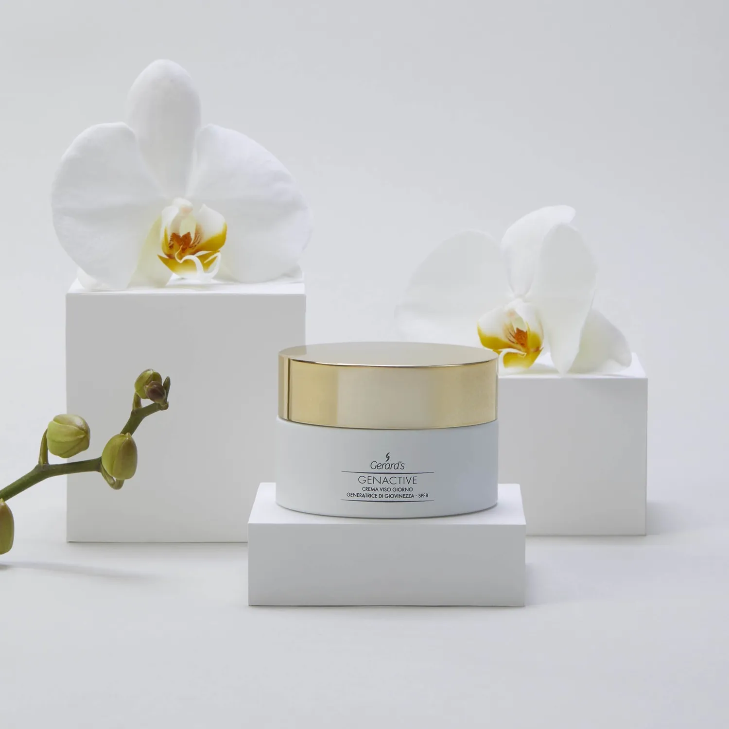 Gerard's Genactive Rejuvenating Day dagcreme SPF8 50 ml anti-age