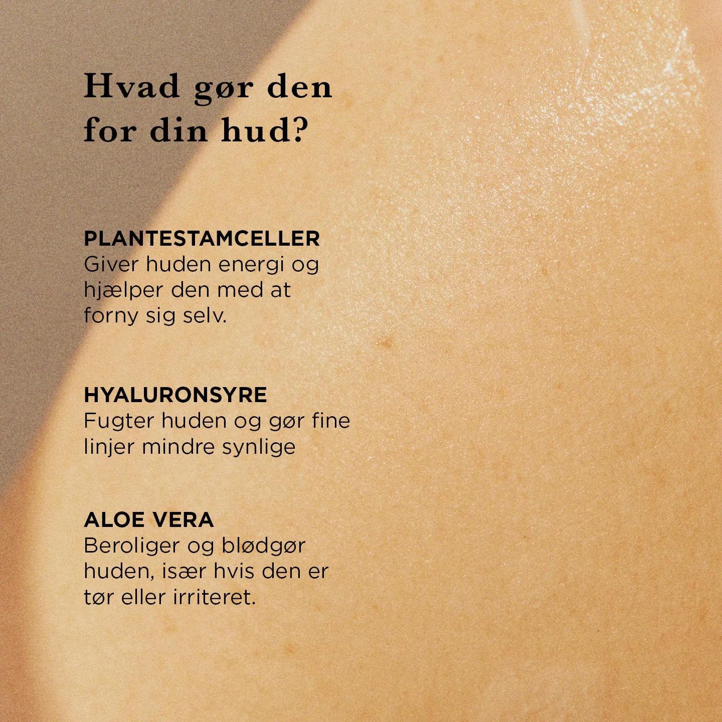 Ecooking Energiserum serum moden hud parfumefri antiage