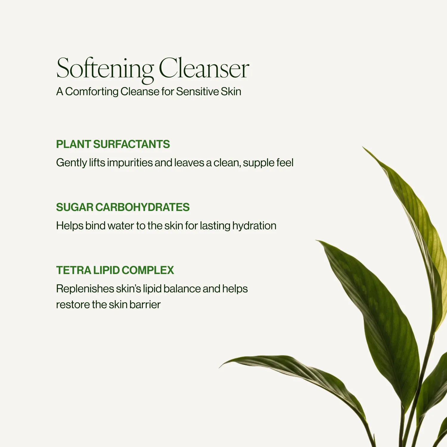 Tata Harper Superkind Softening Cleanser rensegel 125 ml parfumefri