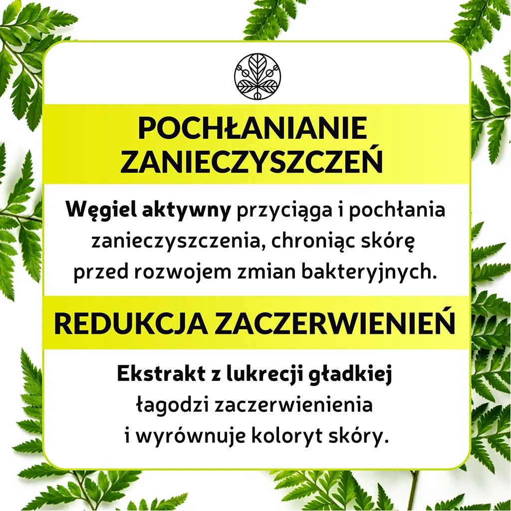 Sylveco Duetus ansigtsmaske brev grøn ler