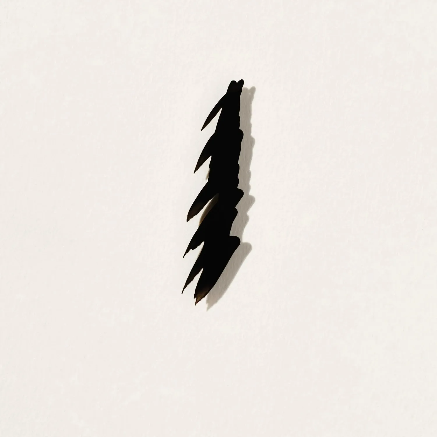 Ecooking Final Call Liquid Eyeliner 01 sort glansfuld