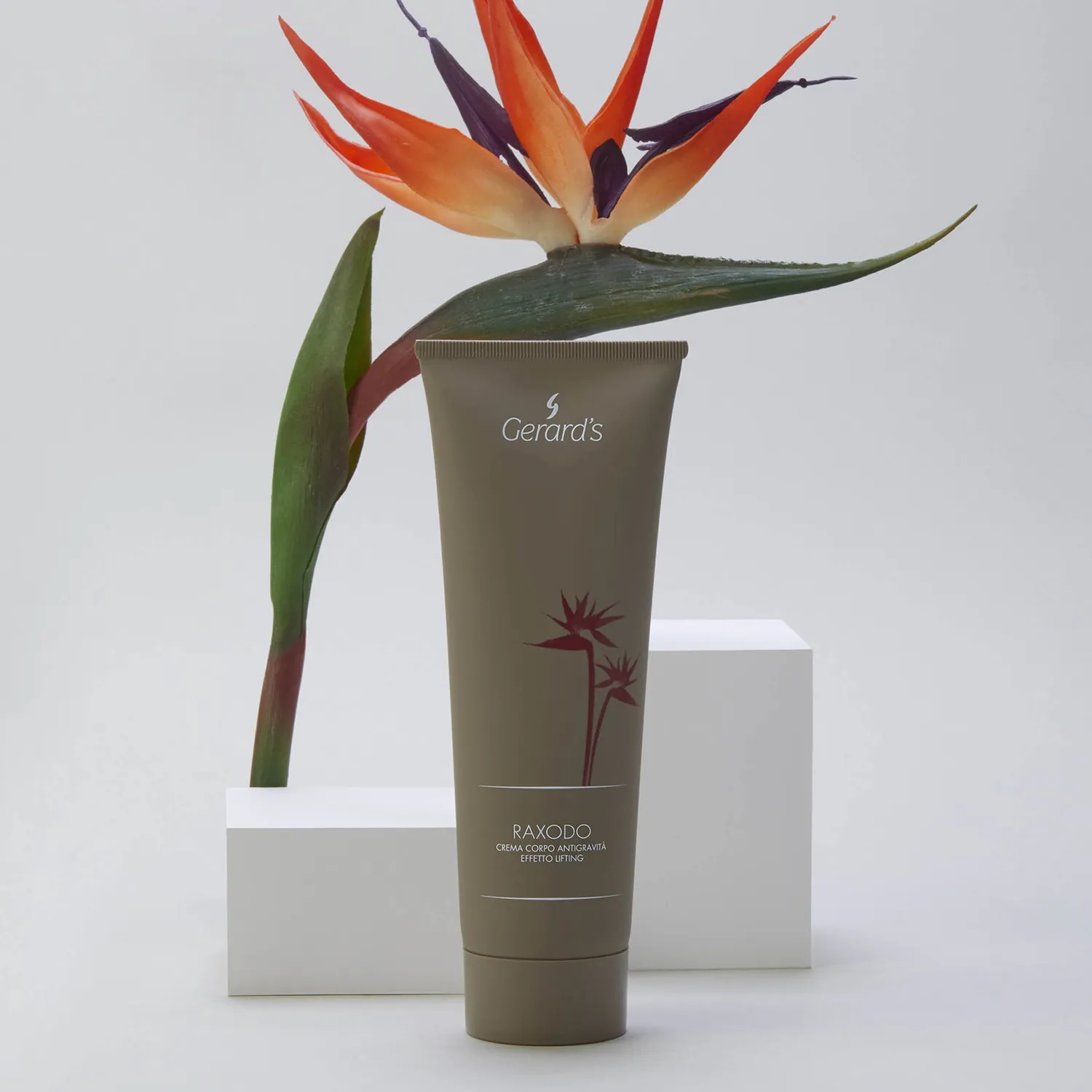 Gerard's Raxodo Anti-Gravity bodycreme 250 ml opstrammende