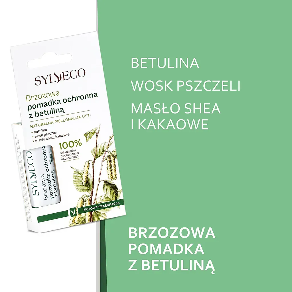 Sylveco Classic birke læbesæt scrub + balm 2x4,6 g