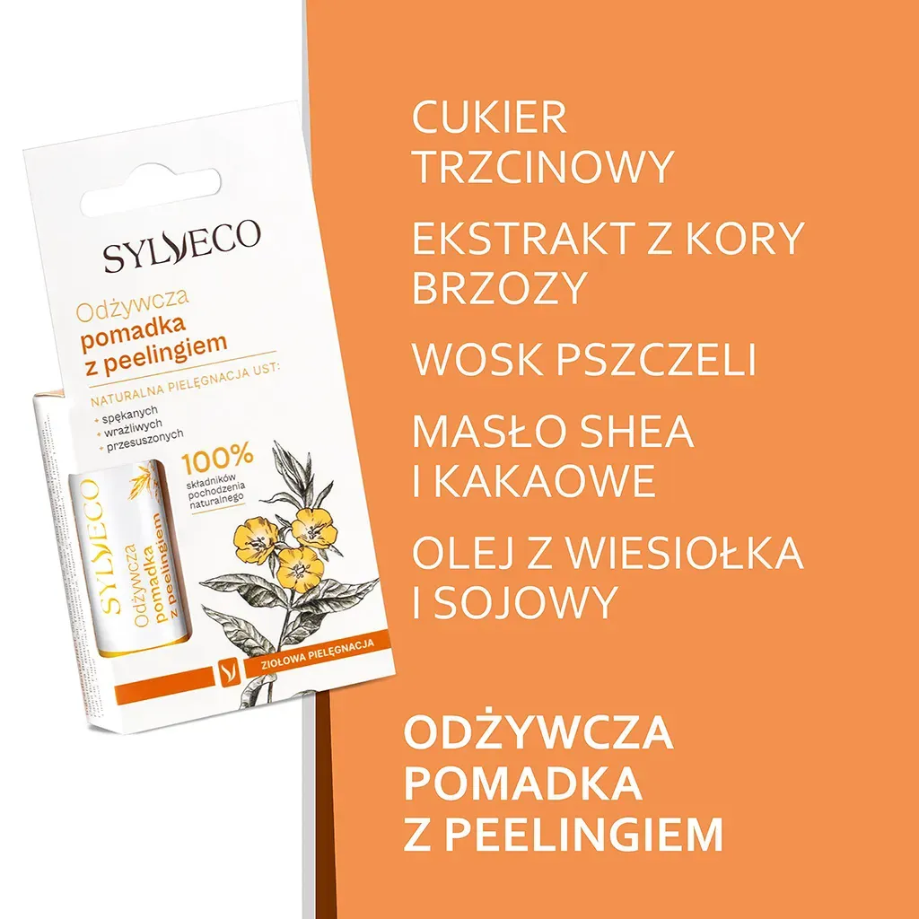 Sylveco Classic birke læbesæt scrub + balm 2x4,6 g